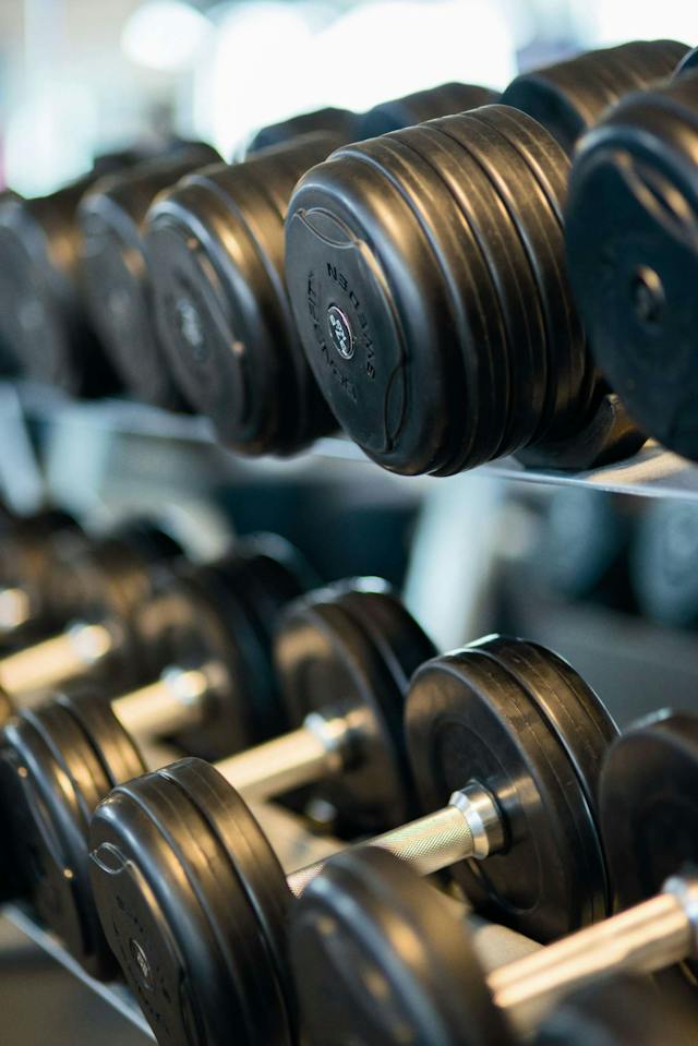 fitnessbranche